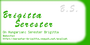 brigitta serester business card